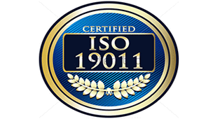 Auditor líder ISO 19011