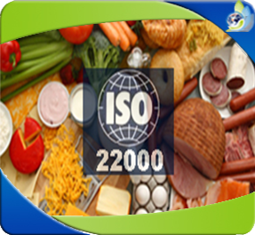Curso de auditor interno de ISO 22000